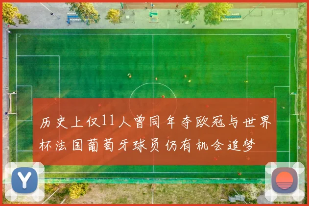 历史上仅11人曾同年夺欧冠与世界杯法国葡萄牙球员仍有机会追梦